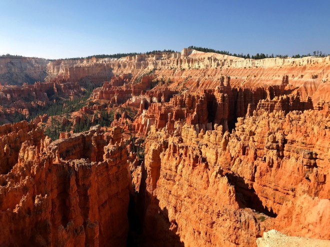 Processed with MOLDIV