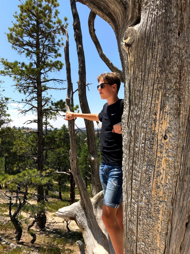 Processed with MOLDIV