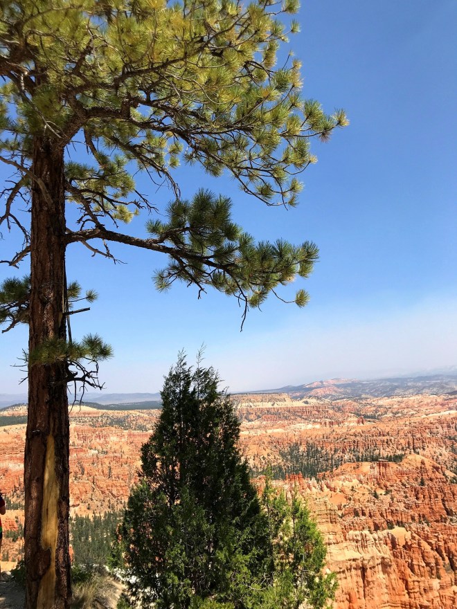 Processed with MOLDIV