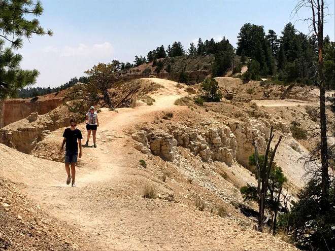 Processed with MOLDIV