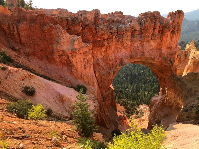 Processed with MOLDIV