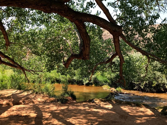 Processed with MOLDIV