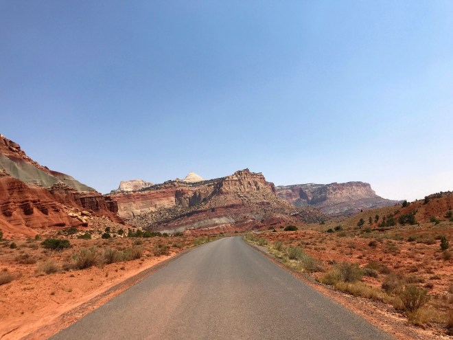 Processed with MOLDIV