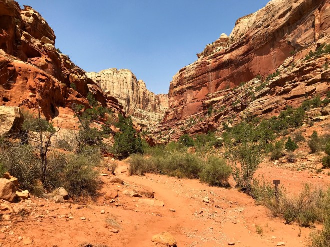 Processed with MOLDIV