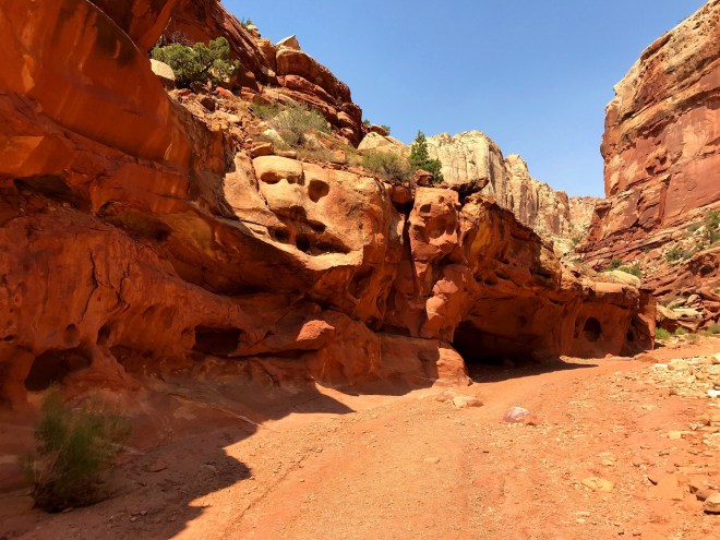 Processed with MOLDIV