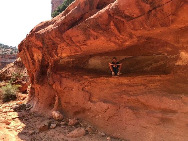 Processed with MOLDIV