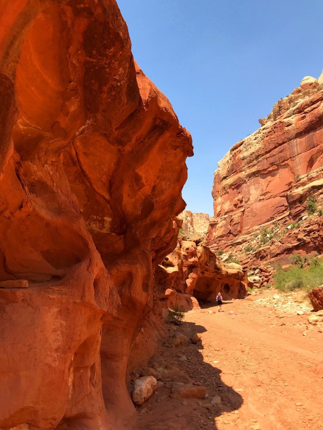 Processed with MOLDIV