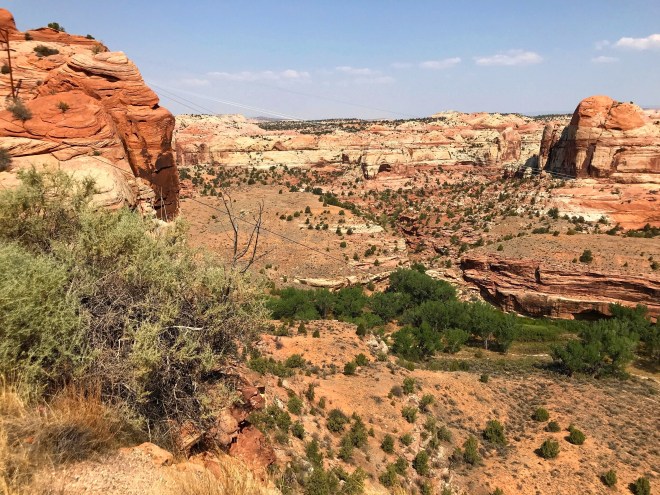 Processed with MOLDIV