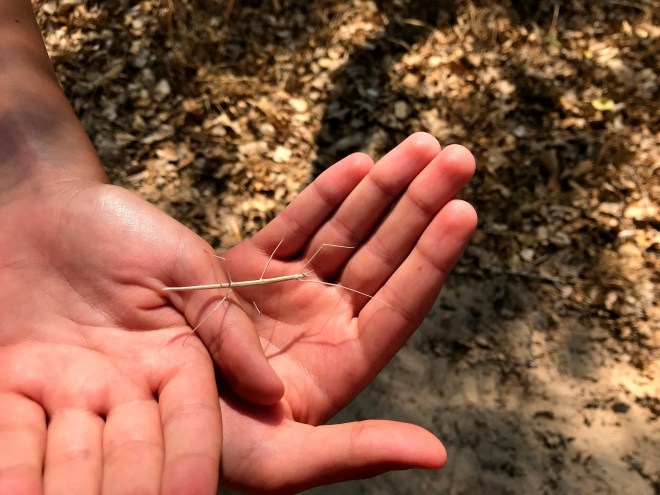 Processed with MOLDIV