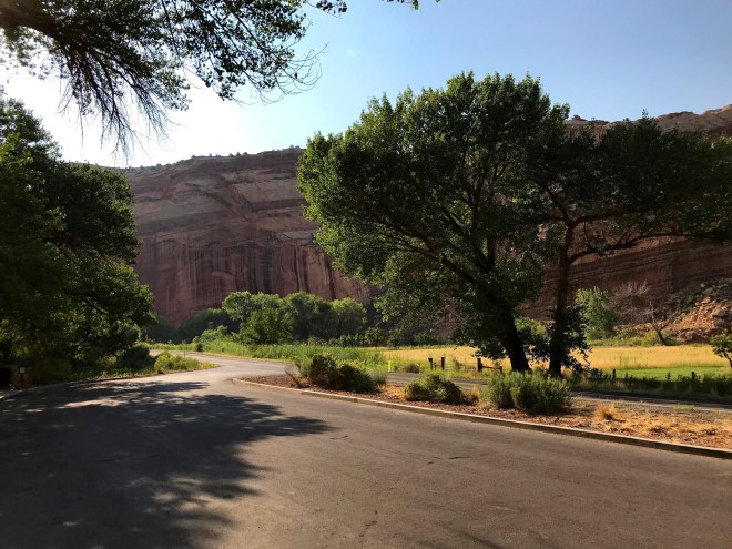 Processed with MOLDIV