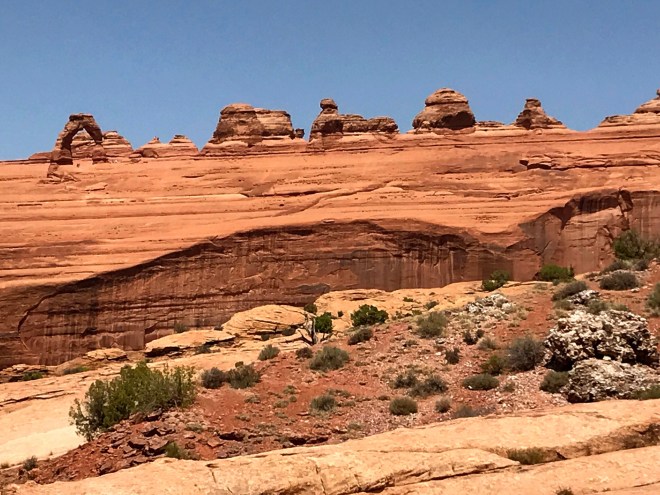 Processed with MOLDIV