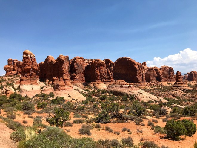 Processed with MOLDIV