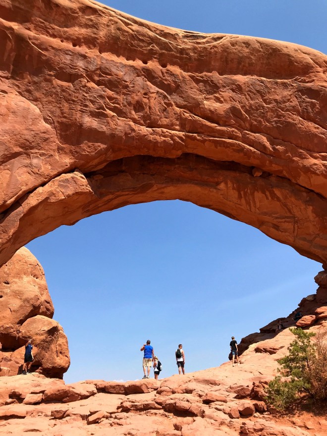 Processed with MOLDIV