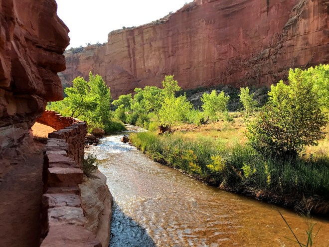 Processed with MOLDIV