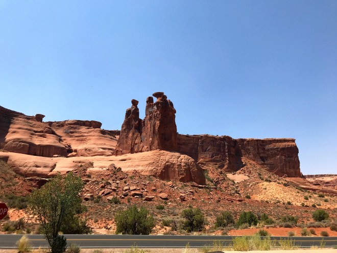 Processed with MOLDIV