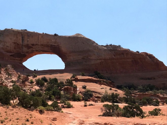 Processed with MOLDIV