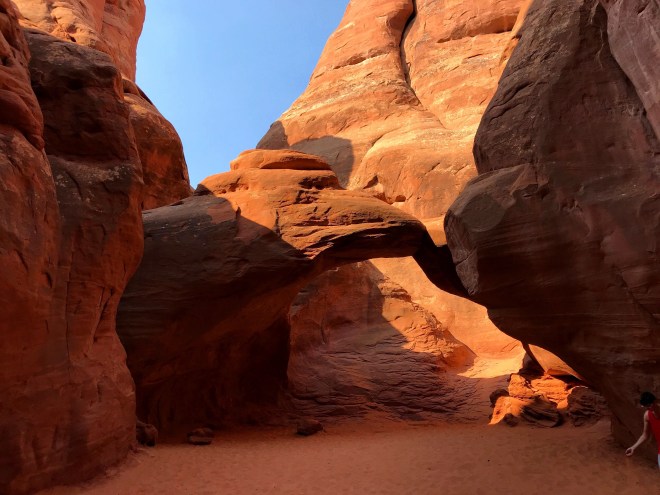 Processed with MOLDIV