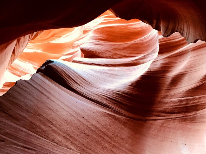 Processed with MOLDIV