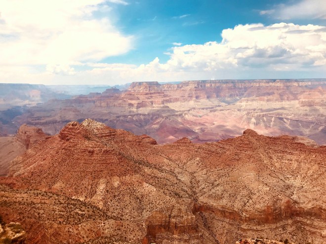 Processed with MOLDIV