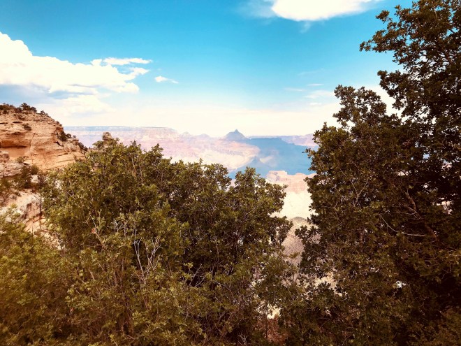 Processed with MOLDIV