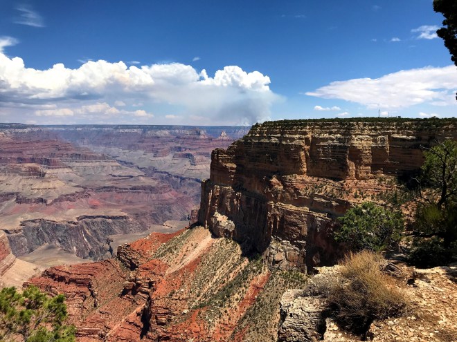 Processed with MOLDIV