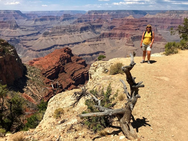 Processed with MOLDIV