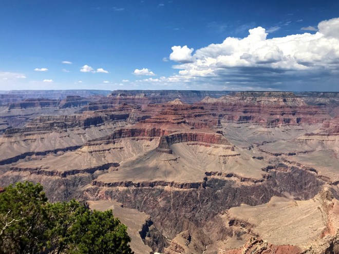 Processed with MOLDIV