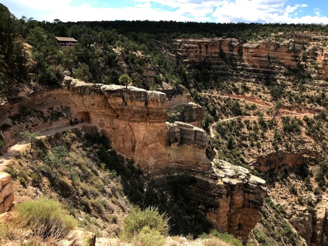 Processed with MOLDIV