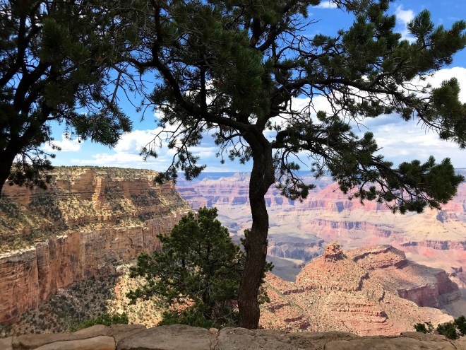 Processed with MOLDIV