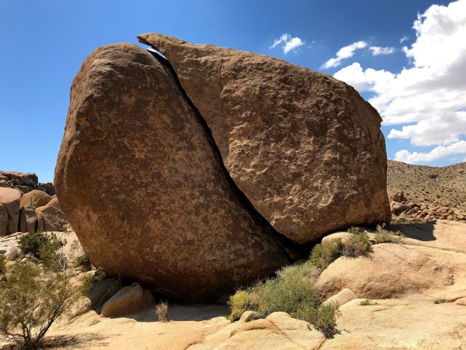 Processed with MOLDIV