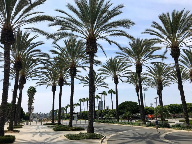 Processed with MOLDIV