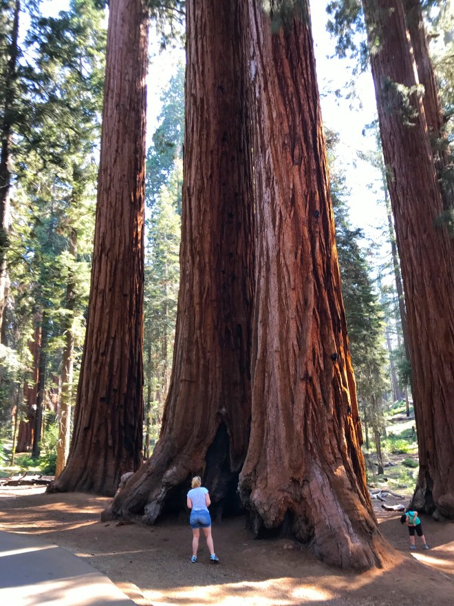 Processed with MOLDIV