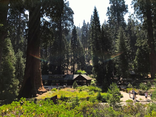 Processed with MOLDIV