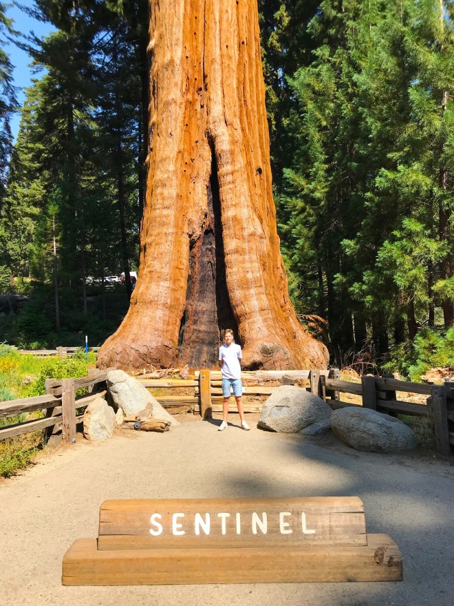 Processed with MOLDIV