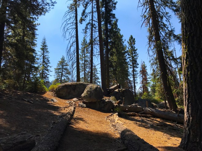 Processed with MOLDIV