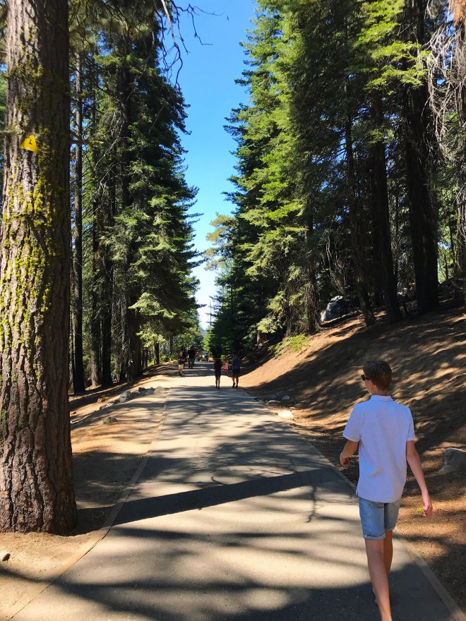 Processed with MOLDIV