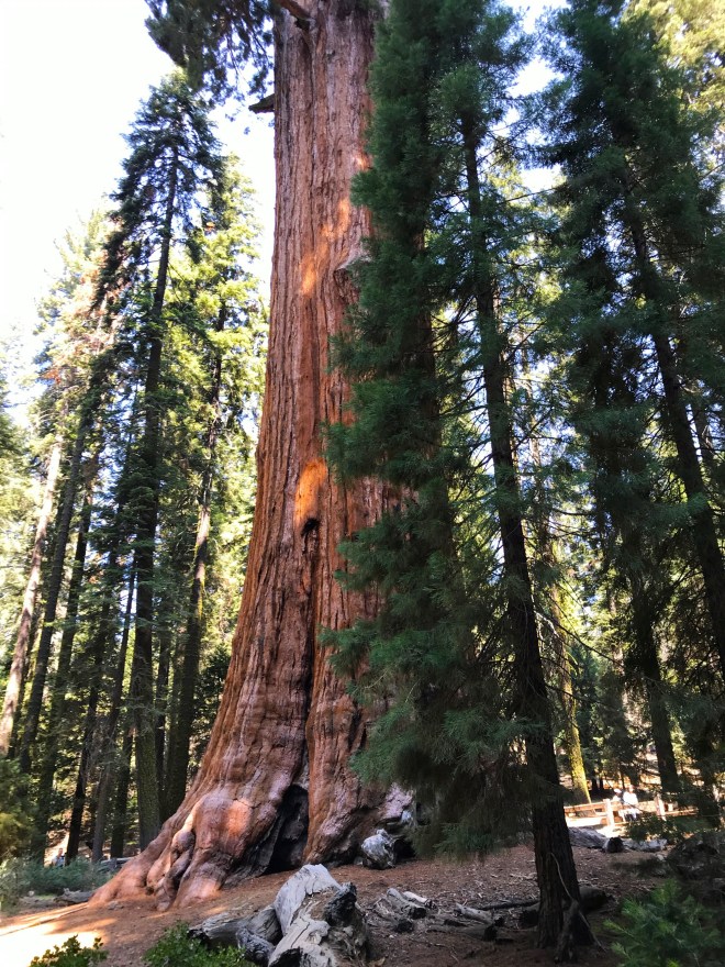 Processed with MOLDIV