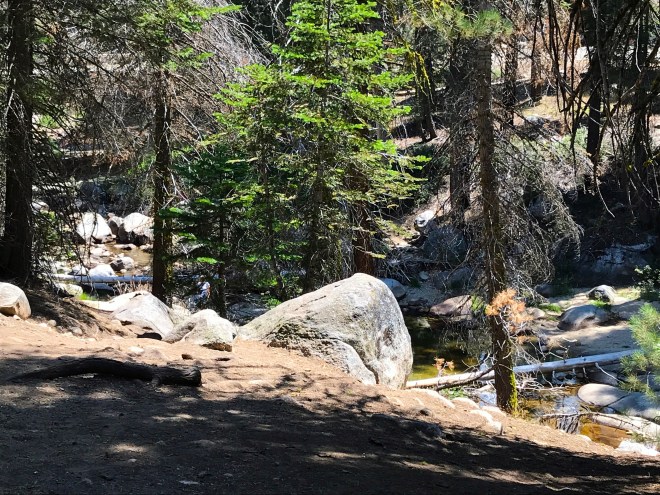 Processed with MOLDIV