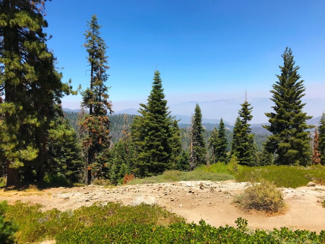 Processed with MOLDIV